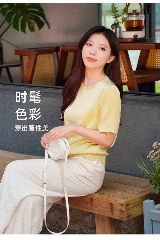 L1XL2现货 臣禾	【正肩真丝T】下摆罗纹圆领短袖T恤	JZ252050675 商品图2