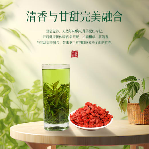 有机枸杞芽茶礼盒 青海特色枸杞芽茶（5g*20小袋）100g/盒 包邮 商品图2