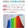 优童台灯护眼灯U1P-S   视光1  全光谱护眼灯台灯学生插电式灯光 商品缩略图3