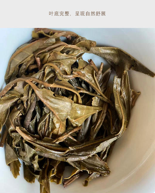生普 | 洪海古树 2017年昔归单株散茶 200g/罐 商品图4