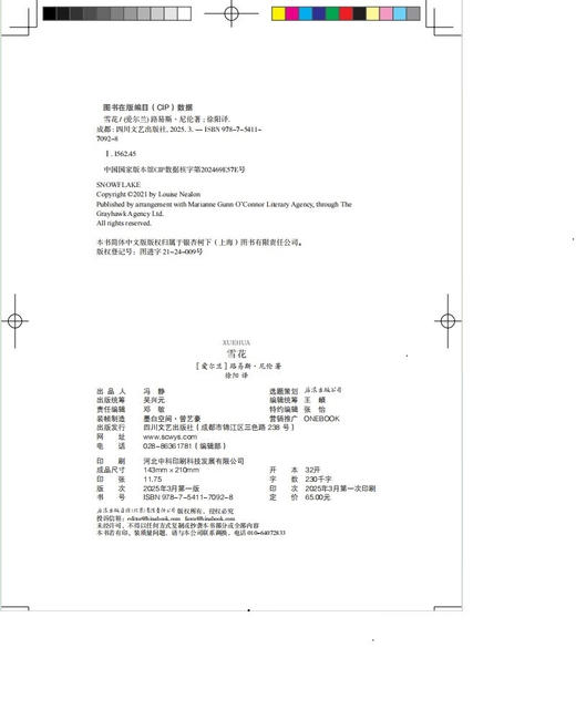 雪花（爱尔兰）路易斯·尼伦 著 商品图1