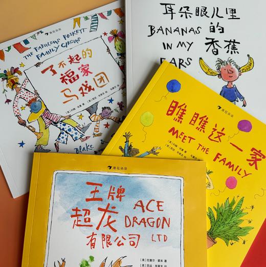 【7-14岁】昆廷·布莱克绘本系列：独一无二的孩子（全4册） 商品图1