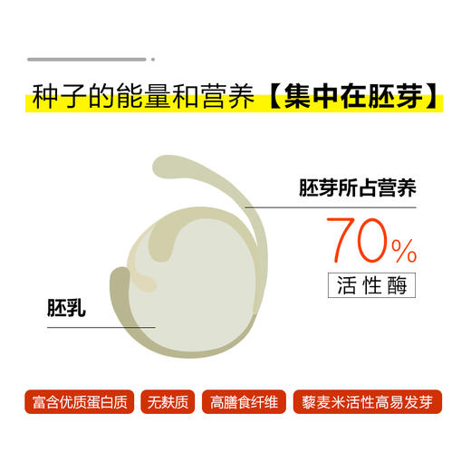 有机白藜麦米礼盒 白藜麦礼盒（500g*4袋）2kg/盒装 包邮 商品图2