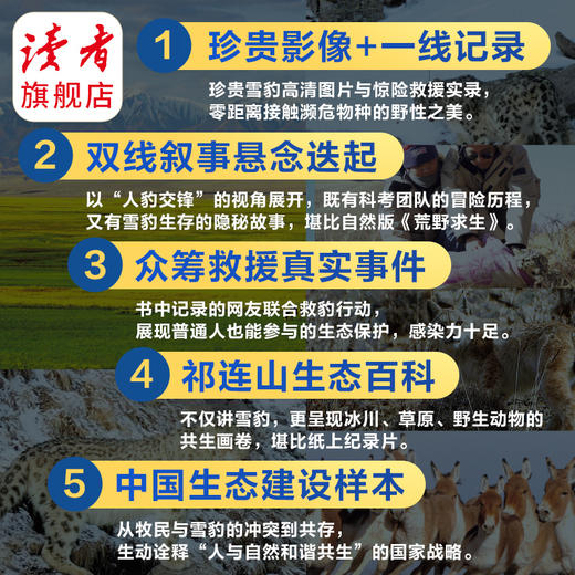 《寻找雪豹—大王巡山》 王鹏/著 揭秘雪山之王 读者出版社 商品图3