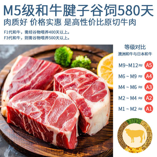 大黄鲜森 澳洲和牛牛腱子 1000g 商品图3