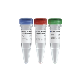 Phanta Uc Super-Fidelity DNA Polymerase for Library Amplification