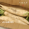 【预售7月5号/6号发货】生态高原白萝卜（农场直发-顺丰包邮）|5斤/份，来自四川小金，生产者：吴明清【合作生产，公平贸易】 商品缩略图3