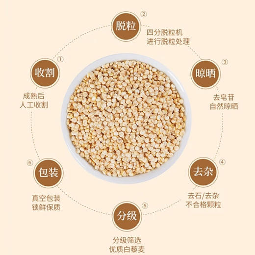 有机白藜麦米礼盒 白藜麦礼盒（500g*4袋）2kg/盒装 包邮 商品图11