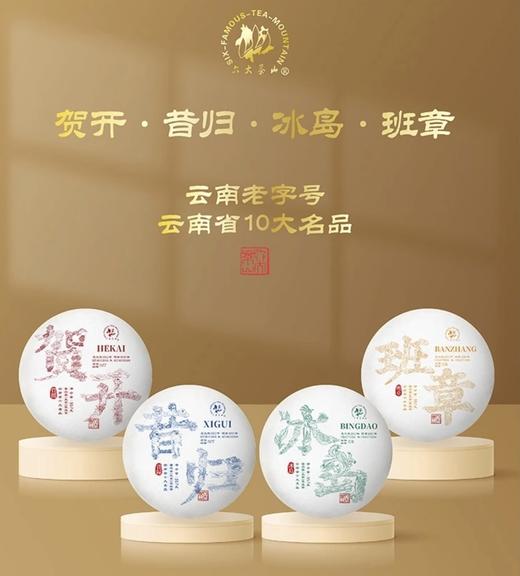 同号收藏.班章生茶(2023) 商品图1