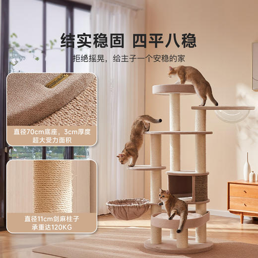 兽牌森林系列猫爬架 商品图2