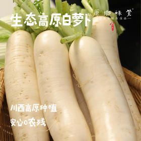 【预售7月5号/6号发货】生态高原白萝卜（农场直发-顺丰包邮）|5斤/份，来自四川小金，生产者：吴明清【合作生产，公平贸易】