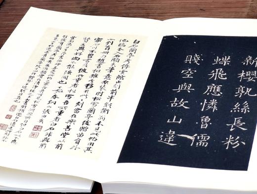 钜惠：《乐善堂法帖》，8开，两册，绸面经折装，元 赵孟頫著，北京联合出版公司2016年一版一印，定价2200元，售价558元。 商品图11