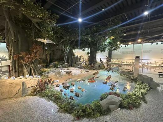 新品上线｜探秘北林·解码标本世界 商品图0