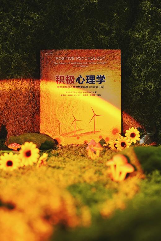万千心理·积极心理学：有关幸福和人类优势的科学（原著第三版） 商品图3