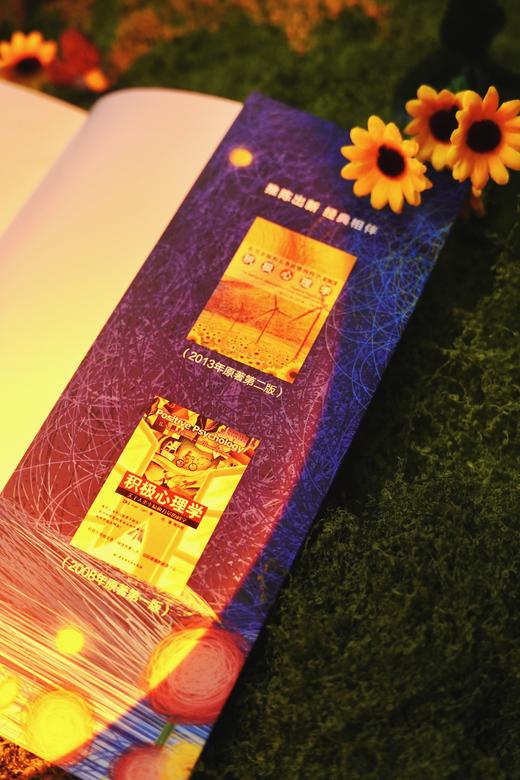 万千心理·积极心理学：有关幸福和人类优势的科学（原著第三版） 商品图5