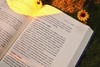 万千心理·积极心理学：有关幸福和人类优势的科学（原著第三版） 商品缩略图6
