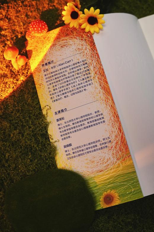 万千心理·积极心理学：有关幸福和人类优势的科学（原著第三版） 商品图4