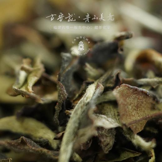 方守龙 夏醇白牡丹全集 连续9年白牡丹 福鼎老白茶[官方旗舰店正品直供] 商品图1