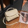 【预售3天】小众轻奢包包女2025新款高级感韩系百搭单肩手提剑桥包YM71032 商品缩略图6