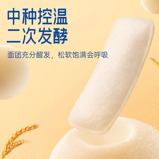 豪士乳酸菌小口袋面包 420g 商品图1