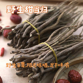 野生甜当归 | 250g/袋，来自四川小金山，野生采集，阳光晾晒，足干味浓