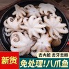 烟台海边发货新鲜冷冻迷你短腿八爪鱼去内脏去牙美味海鲜400g-500g/袋 商品缩略图0