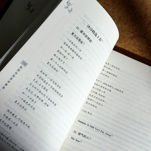 柏桦诗歌英译精选 杨安文 中国当代诗歌 汉英对照 六点图书 商品图12