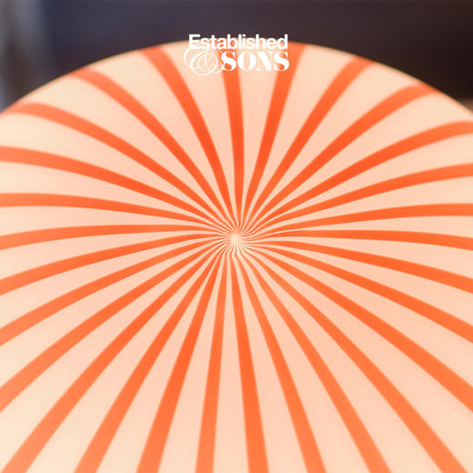 Established&Sons Filigrana 可调光糖果台灯 商品图4