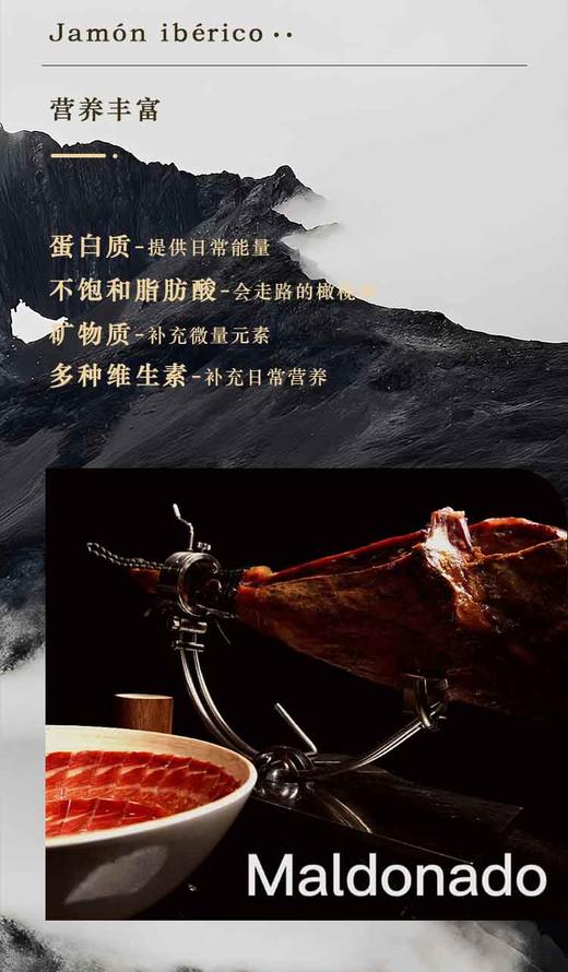 MALDONADO西班牙伊比利亚火腿（后腿） 商品图6