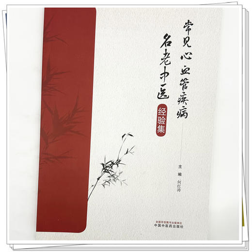 常见心血管疾病名老中医经验集 何红涛 主编 中国中医药出版社 中医临床 医案书籍 商品图3