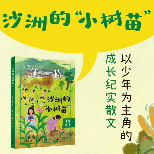 中国故事  沙洲的‘小树苗“  广西师范大学出版社 商品图0