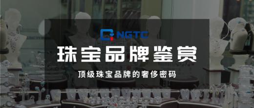 顶级珠宝品牌的奢侈密码课程 商品图0