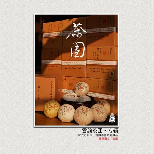 方守龙 茶团大叶白茶全集 连续9年福鼎白茶 [官方旗舰店正品直供] 商品图0