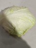 生菜球 商品缩略图0