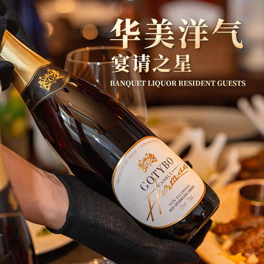 歌汀堡 赫尔曼家族无醇起泡葡萄汁饮料 葡萄酒 西班牙百年名庄 0%vol酒精 >90%果汁含量 小孩老人都能喝 商品图2
