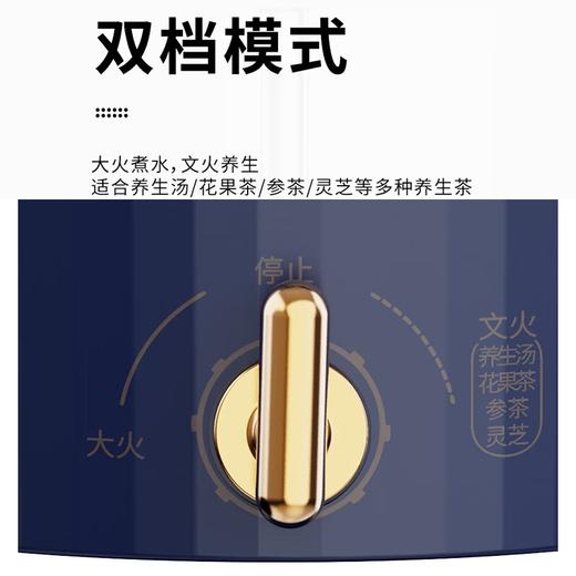 【分仓直发包邮】欧锐铂花漾蒸茶养生壶ORB-532 商品图3