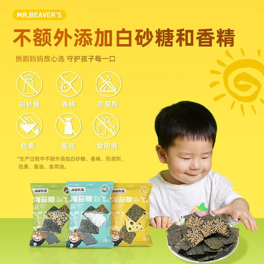 【分仓直发包邮】海狸先生混合口味0添加酥脆海苔脆12g*6袋（经典芝麻12g*2袋+雪蓉椰椰12g*2袋+香醇奶酪12g*2袋） 商品图2