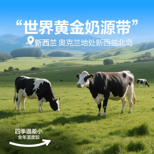【限时一口价19.9元】芝士手撕包1kg 商品图1