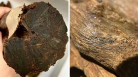 “天价沉香”被曝光！长期闻沉香，竟会有这种惊人变化…