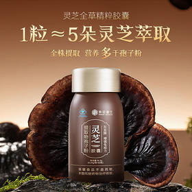 【全灵芝孢子粉胶囊】全部精华 每日2次 每次2颗