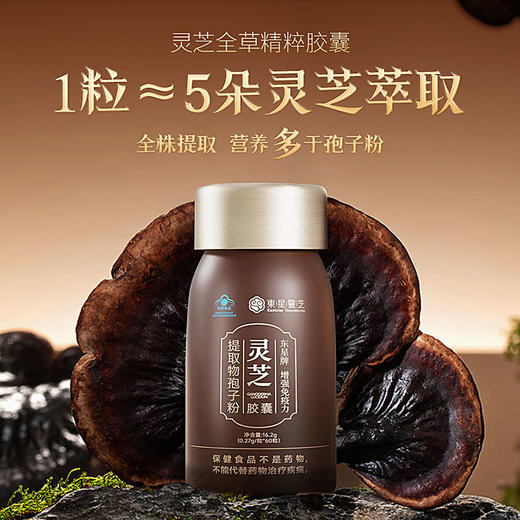 【全灵芝孢子粉胶囊】全部精华 每日2次 每次2颗 商品图0