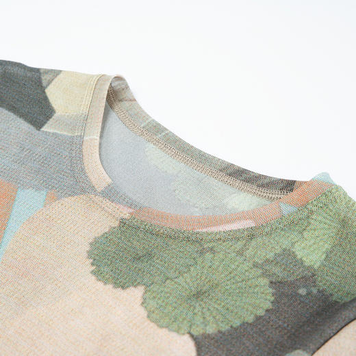 谜底网纱T恤短袖女2025秋季新款复古风圆领薄款修身上衣257MT7811 商品图3