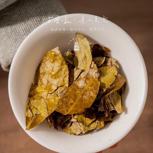 方守龙 茶团大叶白茶全集 连续9年福鼎白茶 [官方旗舰店正品直供] 商品图2