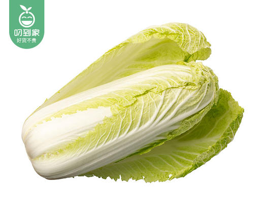 【叼鲜蔬】云南有机娃娃菜/1份（约400g） 商品图1