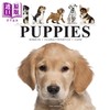 预售 【中商原版】小狗 Puppies 英文原版 Tom Jackson 宠物摄影图集 世界犬种科普读物 商品缩略图0