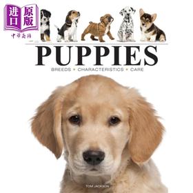 预售 【中商原版】小狗 Puppies 英文原版 Tom Jackson 宠物摄影图集 世界犬种科普读物
