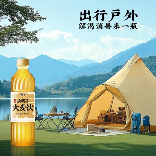 康师傅决明子大麦饮500ml/瓶 商品图4