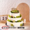 【甄选动物奶油】12+10+8英寸水果生日蛋糕，9选1 商品缩略图2