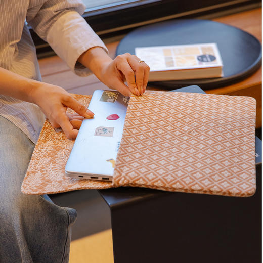 电脑包手持笔记本苹果电脑包内胆包女士高级感收纳包手拿包通勤旅行 商品图2