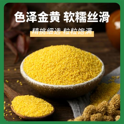 旱禾源 坡地有机敖汉小米 商品图2